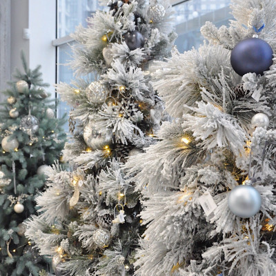 Processed with VSCO with t1 preset